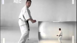 Sushiho   kata kyokushin karate