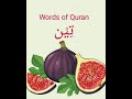 words of quran arabic word for fig