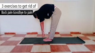 3 Effective Exercises to Say Goodbye to Lower Back Pain