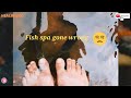 Natural Fish Spa gone wrong | Natural Pedicure |Relaxing Natural |Totally free unlimited time