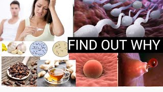 5 reasons why you are not ovulating  signs of Ovulation anuovulation problem and solutions