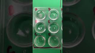 Chemical Bonding Lab
