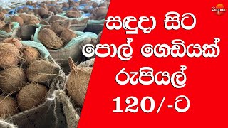 parliament live today|Coconut Price |සඳුදා සිට පොල් ගෙඩියක් රුපියල් 120 ට