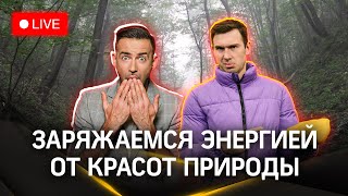 Метеострим: путешествие по Икшинскому оврагу. Прогноз погоды | Шубенков. Илич