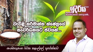 කෑගල්ලේ වැවිලි කර්මාන්ත ක්ෂේත්‍රයේ සංවර්ධනයට නව ජවයක් !