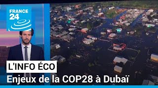 Le financement des pays les plus pauvres parmi les enjeux principaux de la COP28 • FRANCE 24