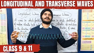 Longitudinal and Transverse Waves | Slinky Experiment | Waves Class 11 | Sound Wave Class 9 | Fun