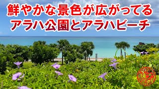 【北谷のビーチ】鮮やかな景色が広がるアラハ公園とアラハビーチ！