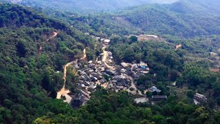 4K Drone Footage| Bird's eye view of Jingmai Mountain: breathtaking ancient tea gardens in China.