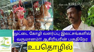 BV380 முட்டை கோழிகளின் மூலம் இலட்சங்களில் வருமானம் | Good income for ege laying chicken | Tamil