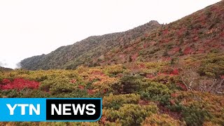 설악산 첫 단풍...남하하는 가을 / YTN