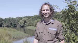 Natuurherstel Witte Veen