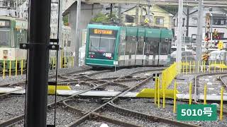 【今日電】🍻今日出会った素敵な路面電車　5月5日🚋The tram I saw today.【広島電鉄Hiroshima Electric Railway】朝の宮島口電停から🚃