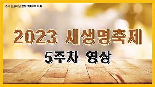 2023 새생명축제 5주차