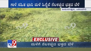 'ಮಳೆಗೆ ನೆಲಕಚ್ಚಿದ ಭತ್ತದ ಬೆಳೆ': Heavy Rain Damaged Paddy Crops At Jamalapur, Yadgir