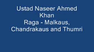 Ustad Naseer Ahmed Khan,