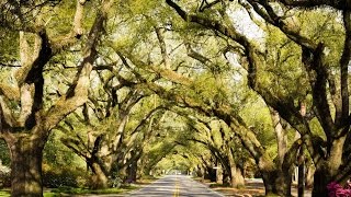 Making It Grow - The Aiken Arboretum