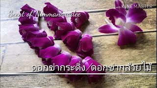 วิธีร้อยพวงมาลัยตาข่ายพุด (คลิปยาว)​5/7 ​crape jasmine net  and orchid garland.