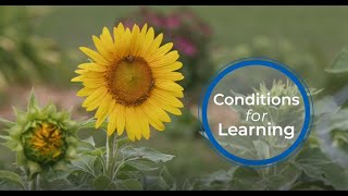 Creating the Conditions for Learning