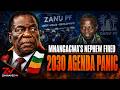 MNANGAGWA’S NEPHEW EXPELLED! ZANU PF 2030 AGENDA BACKFIRES AS CAB3 FINAL LAP BEGINS