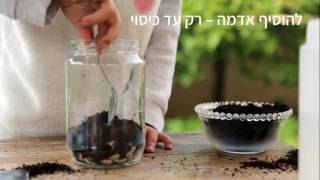 ערכת יצירה אקולוגית טֶרִי\u0026סוֹל - הדרכה Terri\u0026Sol - How To - DIY Terrarium kit