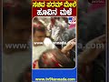 ಸಚಿವ​ ಪರಮ್ ಮೇಲೆ ಹೂವಿನ ಮಳೆ ​gparameshwar tv9d