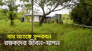 বন পাহারাদারদের অরক্ষিত জীবন | Sharankhola Forest office, Bangladesh.