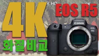 EOS R5 4K 화질비교 \u0026 A7M4 4K