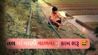 તલ માં પાણી વાળવા નું કામ શરૂ 😅||Tal Ma pani Walvanu Kam Charu #vlogs