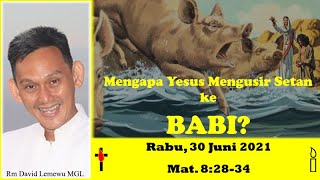 Mengapa Yesus Mengusir Setan ke Babi - Renungan Injil 30 Juni 2021 - Rm David Lemewu MGL