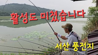 미친 활성도!! 정신 없이 마구마구 잡았습니다!! 충남 서산 풍전저수지 붕어낚시!!