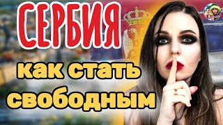 Какие плюсы у ВНЖ Сербии?