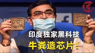 用牛粪做芯片，印度为什么总是和牛粪过不去？