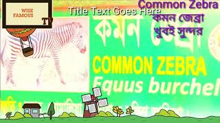 Common Zebra is beautiful animal. কমন জেব্রা গুলো দেখতে খুবই সুন্দর।