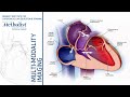 Congenital Heart Disease: A Primer for the Imager (C. Huie Lin, MD, PhD) June 11, 2019