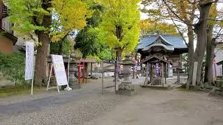 取手・八坂神社　2022年11月5 日