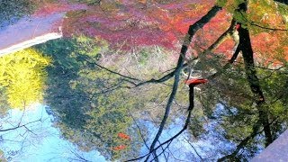 紅葉の室生寺と大野寺磨崖仏/近鉄沿線の旅