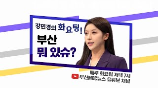 [강민경의 화요팅] 부산 뭐 있슈?