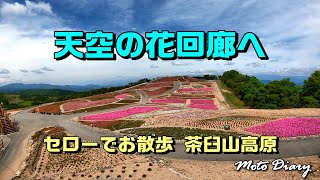 【バイク走行動画】「天空の花回廊へ」セローでお散歩 茶臼山高原 （Moto Diary）