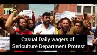 Casual Daily Wagers of Sericulture Department  Protest