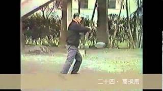 Pan Yongzhou Yilu form (student of Chen Fake)