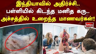 இந்தியாவில் அதிர்ச்சி  பள்ளியில் கிடந்த மனித கரு  அச்சத்தில் உறைந்த மாணவர்கள்! | SathiyamTv