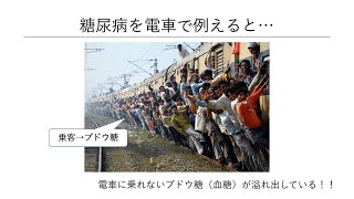 令和6年度 市民対象糖尿病教室 第1回「糖尿病基礎講座」