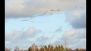 Sinoptikų prognozė pirmajai pavasario dienai: pūs nestiprus vėjas, kritulių nenumatoma