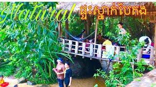 #ផ្ទះស្នាក់បៃតង_Green house ( Homestay ), In Bonteay Srei District