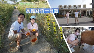 高雄路竹怎麼玩？到傳統市場探索美食，農場餵羊擠奶、番茄園採收體驗一日遊行程