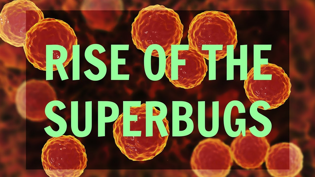 Antibiotic Resistance – Aka, Rise Of The Superbugs - YouTube