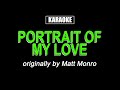 Karaoke - Portrait of My Love - Matt Monro