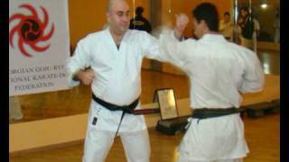 Georgian Goju-Ryu Karate-do National Federation - Otar Grdzelishvili - Okinawa