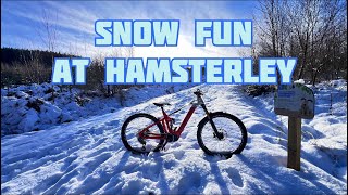 Snow Fun at Hamsterley - 8/1/15